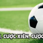 Cược đơn, cược xiên, cược hệ thống