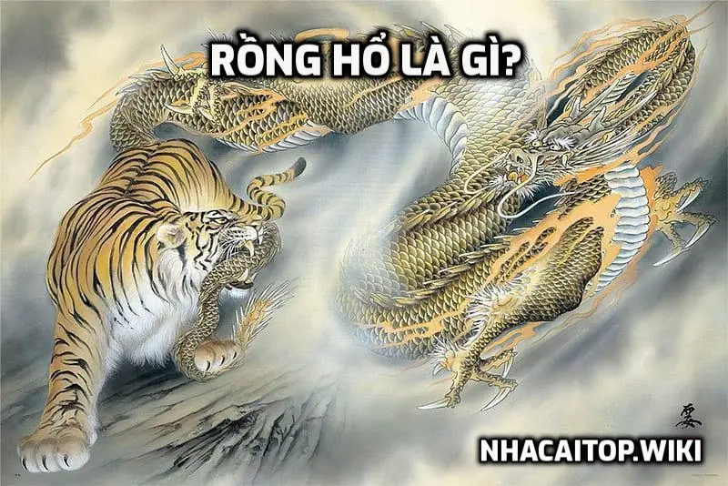 Rồng Hổ là gì?
