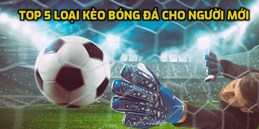 Top 5 loại kèo bóng đá cho người mới